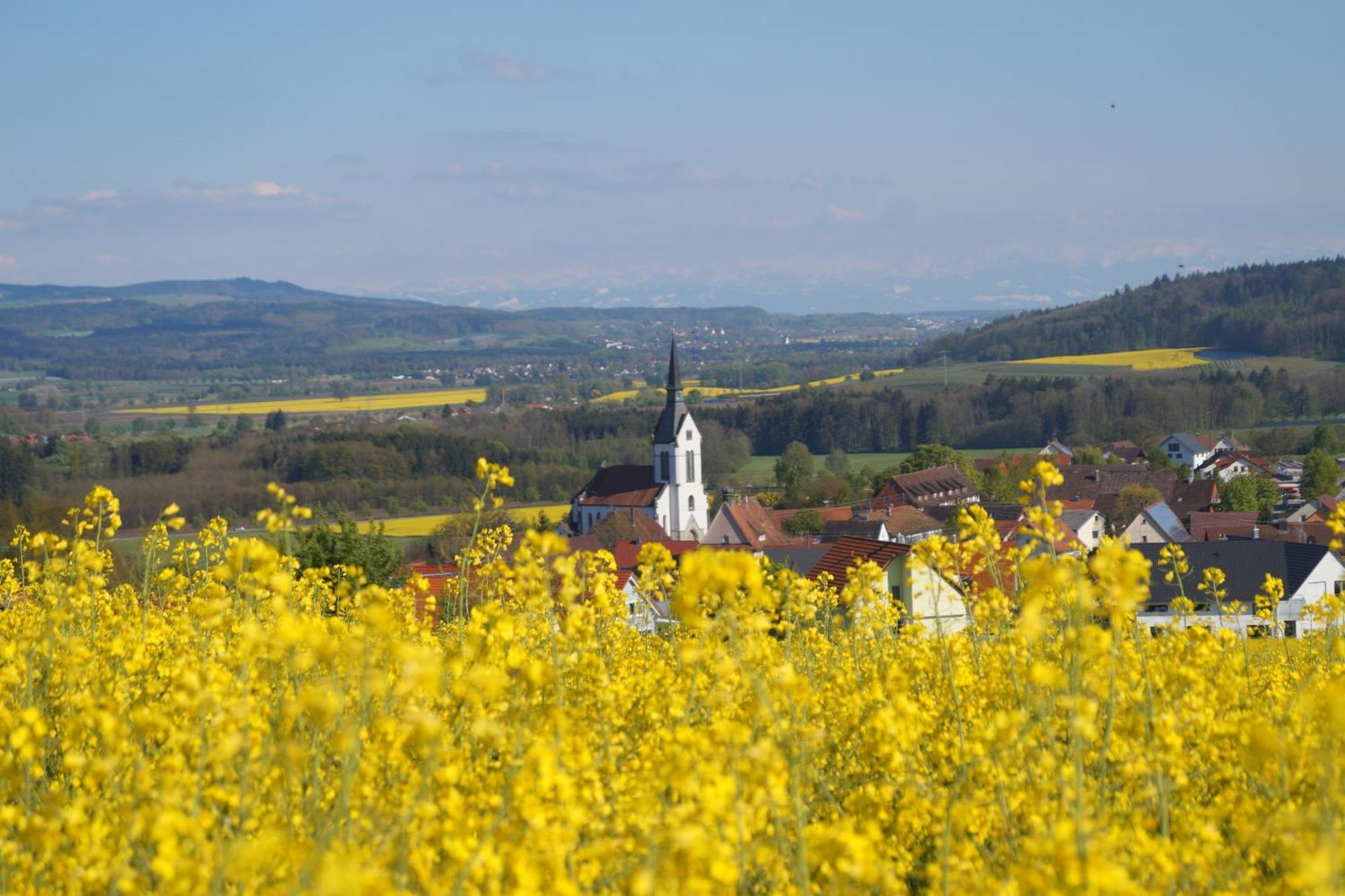 Landhotel Schellenberg Uberlingen Buitenkant foto